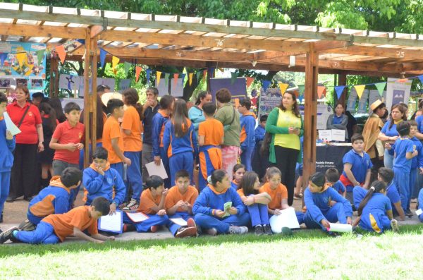 Patrimonio, ciencia y territorio: estudiantes sorprenden en la Feria Comunal de Innovación de Panquehue